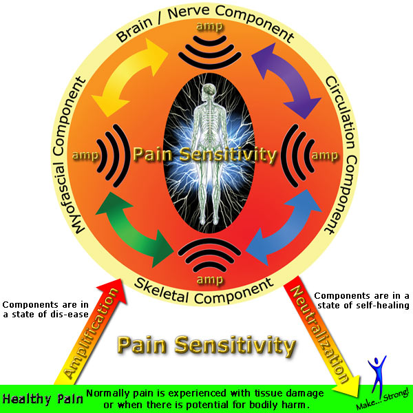 pain sensitivity amplifiers