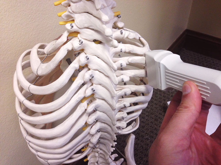 skeleton